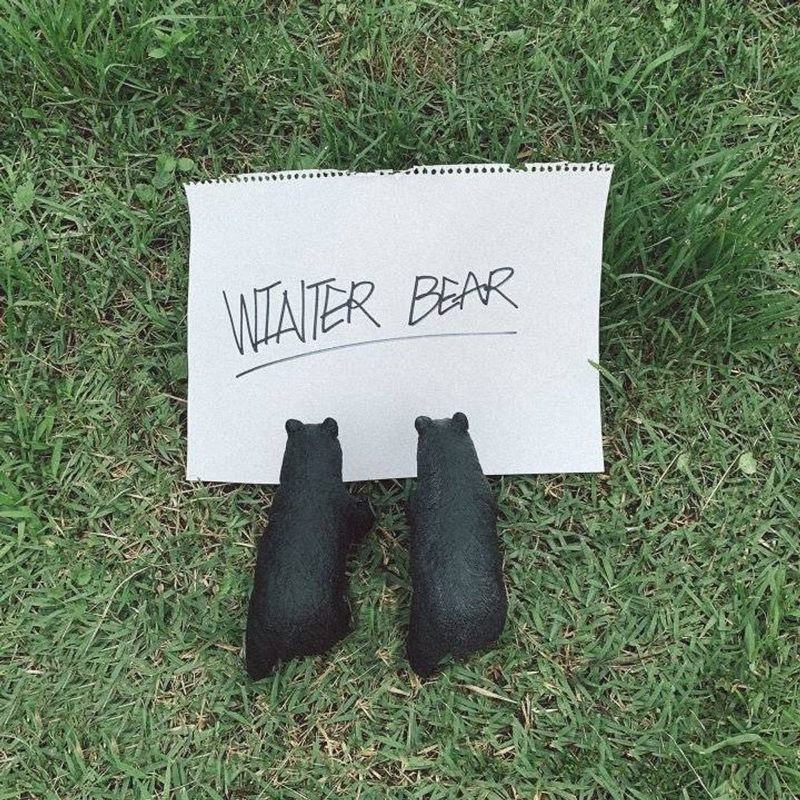 Canciones Winter Bear- V