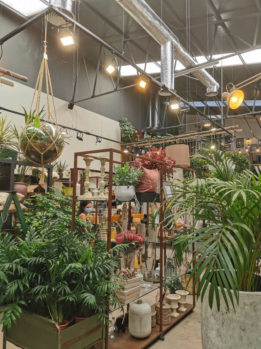 Restaurants Terrárea