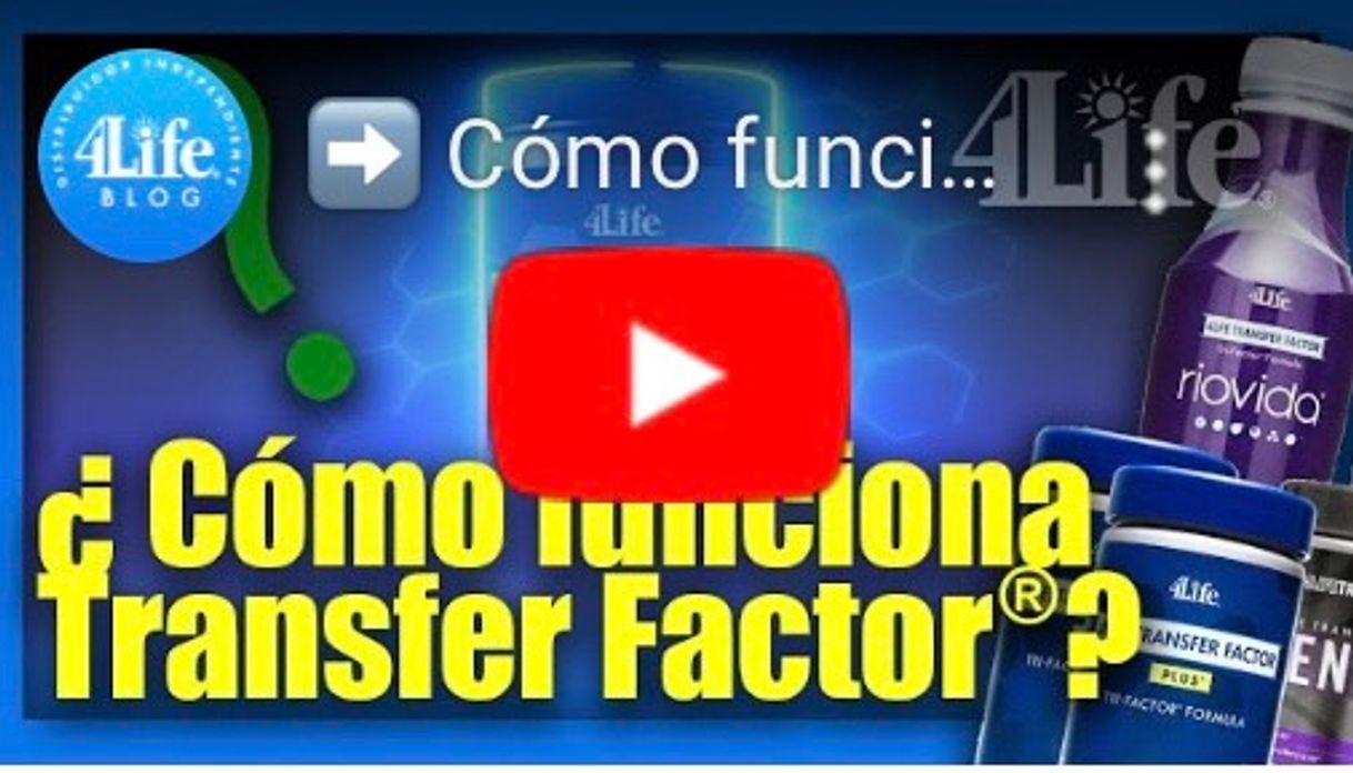 Moda 
➡️ Cómo funciona el Transfer Factor® 