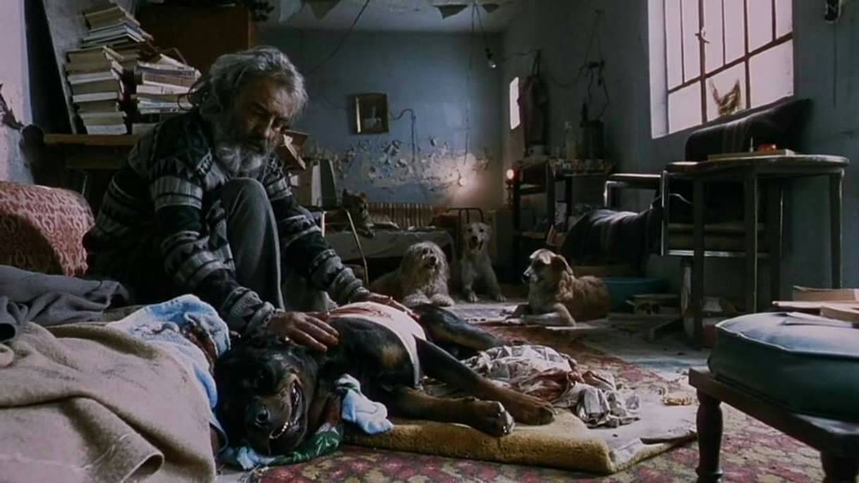 Movie Amores perros