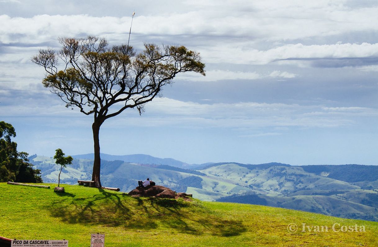 Moda Pico da Cascavel 