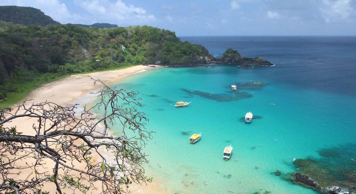 Lugar Fernando de Noronha