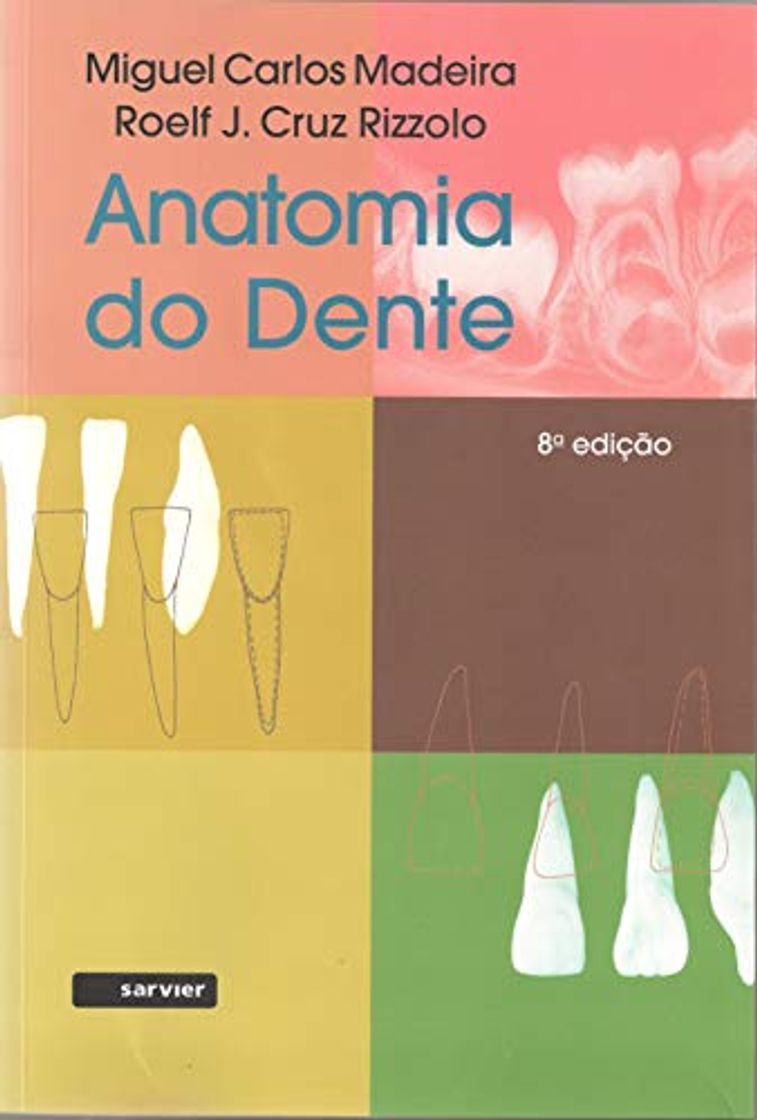 Libro Anatomia Do Dente