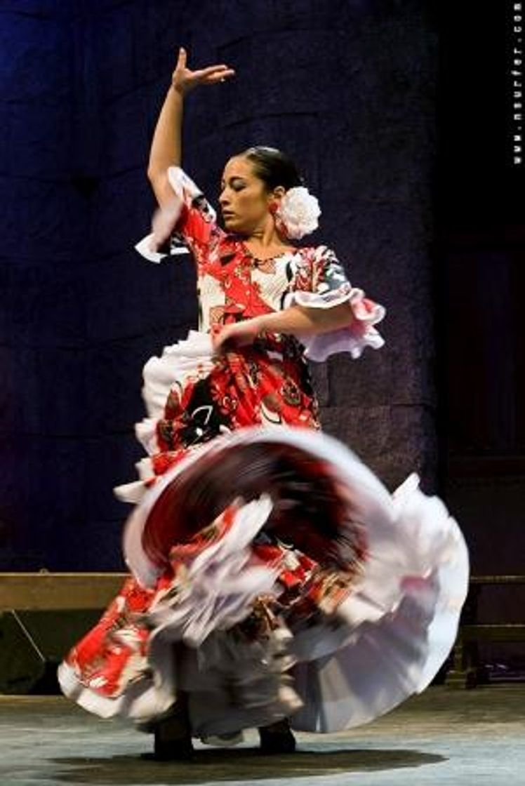 Fashion Flamenco – Wikipédia, a enciclopédia livre