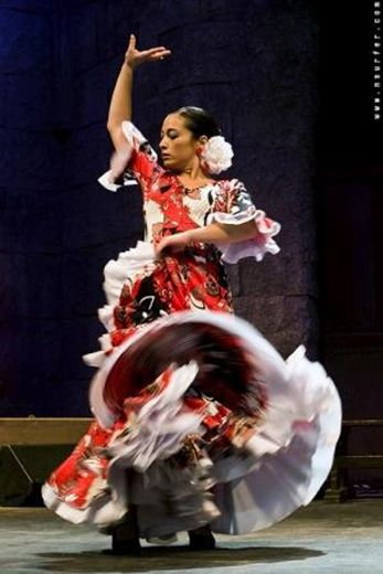 Flamenco – Wikipédia, a enciclopédia livre