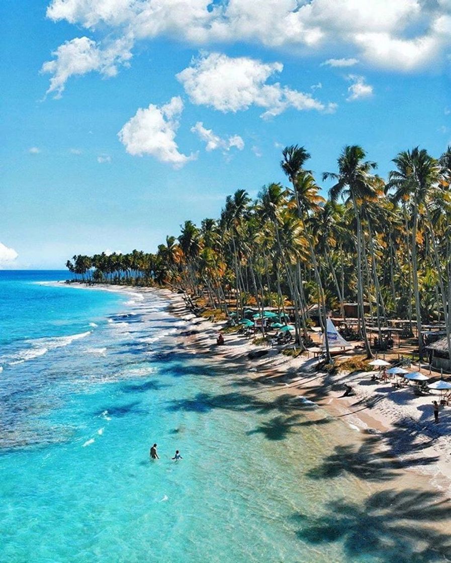 Lugar Praia dos Carneiros