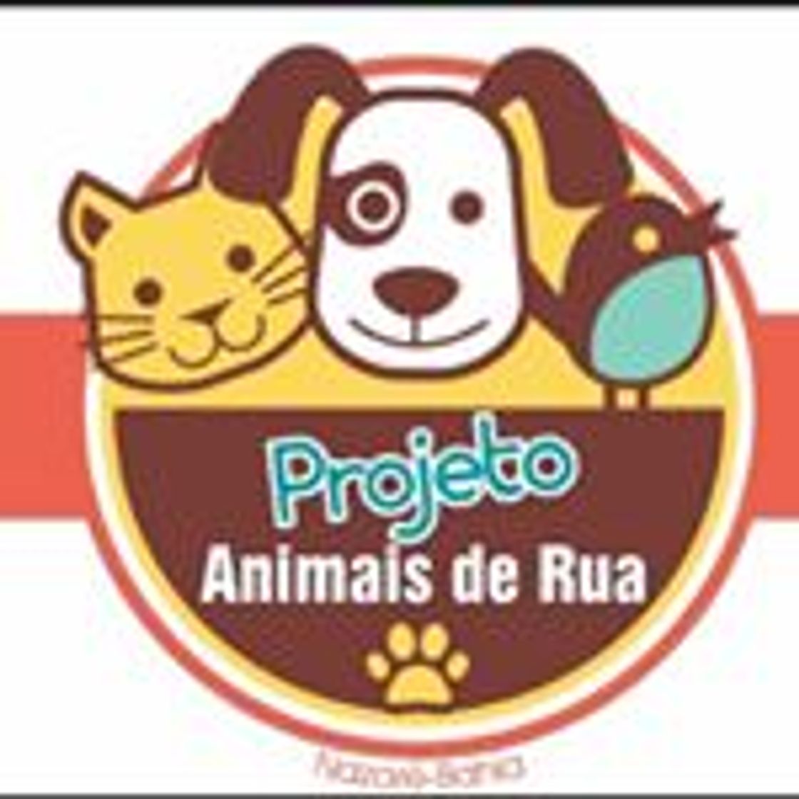 Moda PROAR - Projeto Animais de Rua (@proarong) • Instagram photos ...