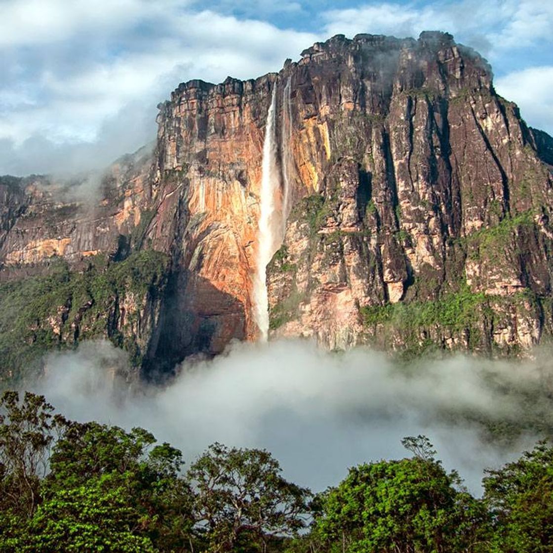 Lugar Salto Angel