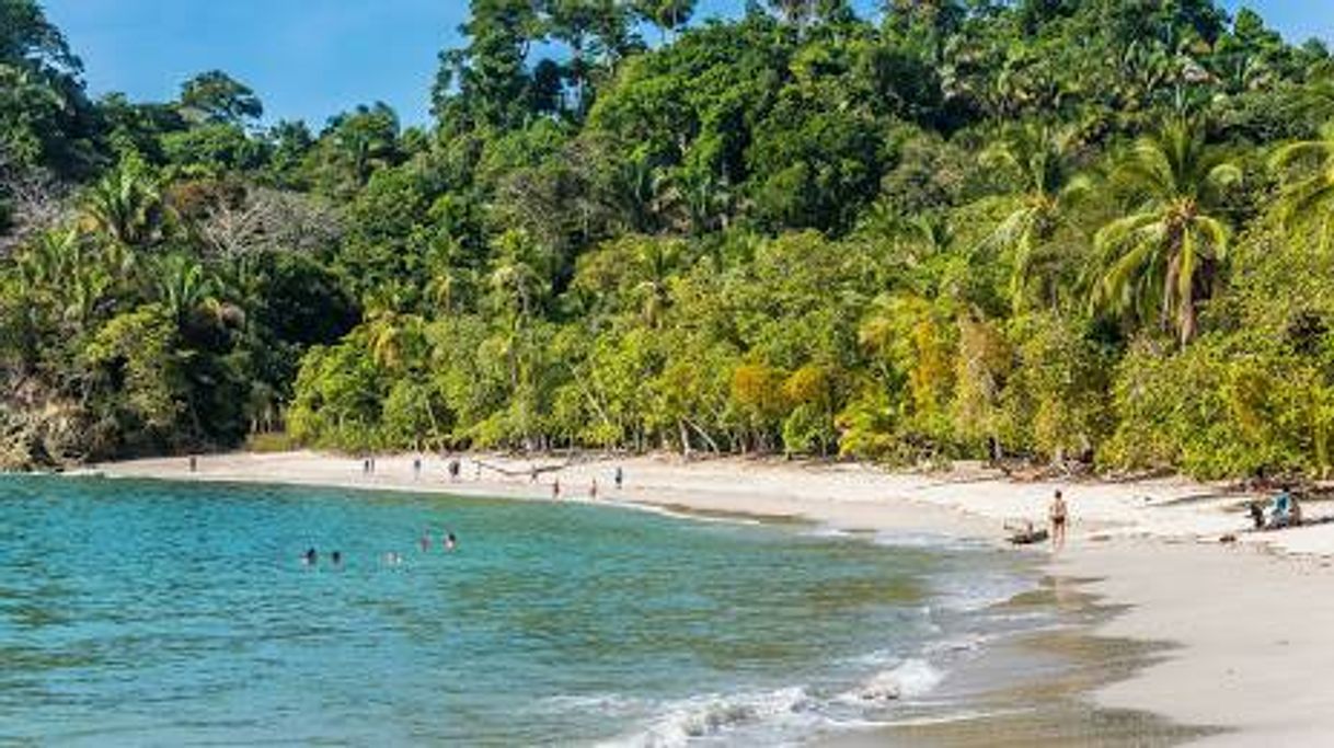 Lugar Manuel Antonio National Park