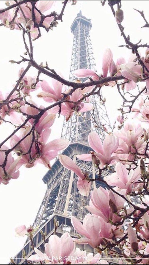 Moda Torre Eiffel 😍