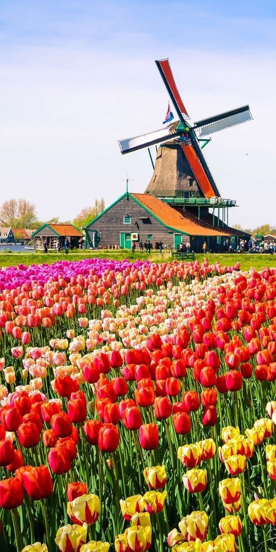 Lugar Holanda