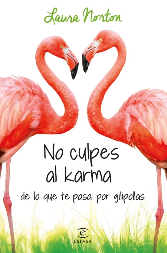 Book No culpes al karma 