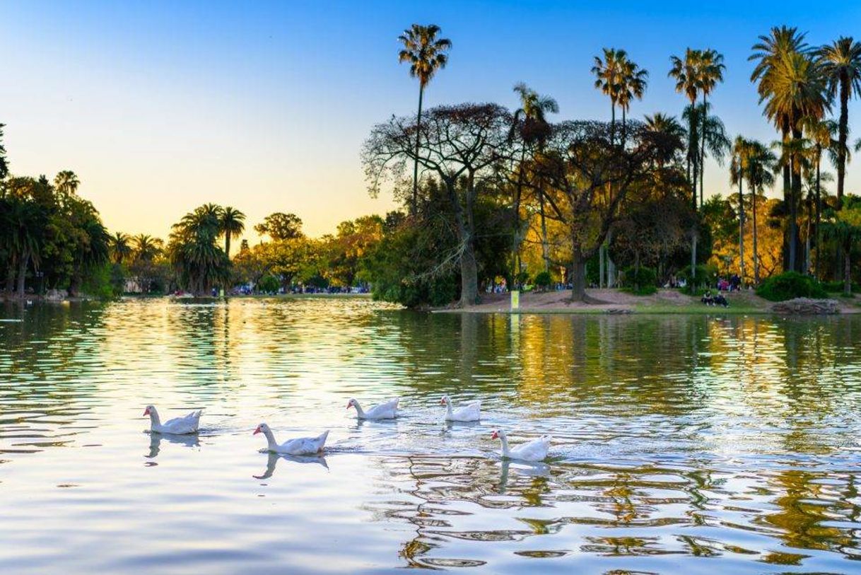 Place Bosques De Palermo