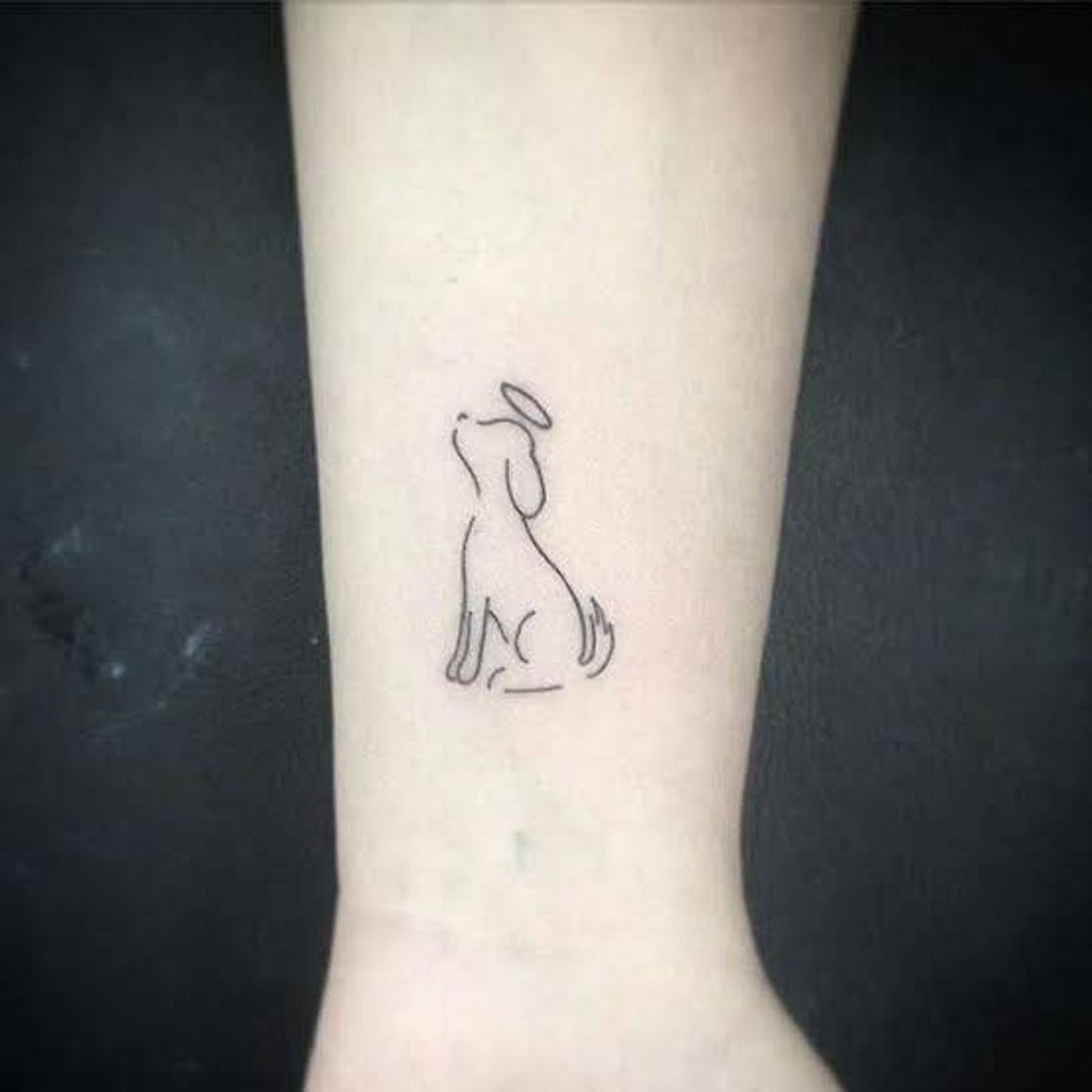 Fashion Pet tatto 