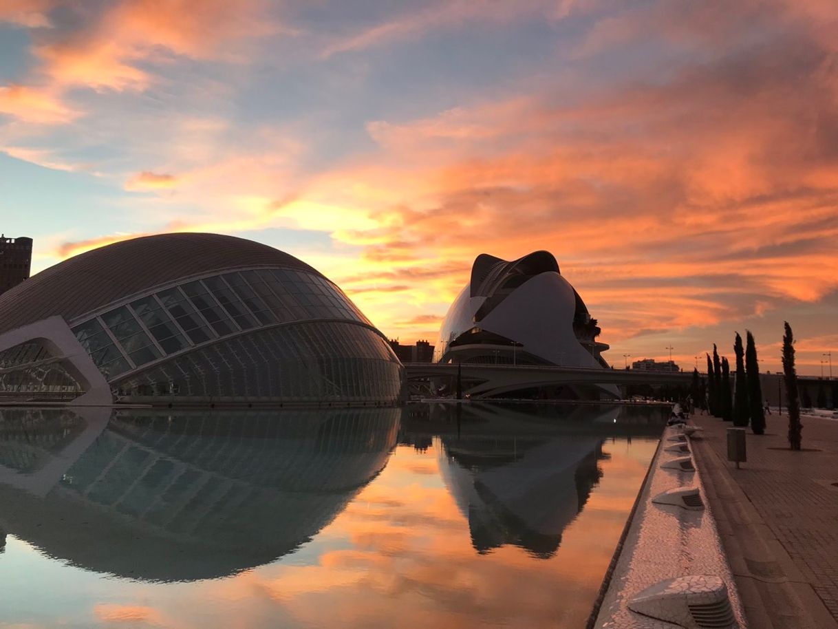 Lugar Ciudad de las Artes y las Ciencias