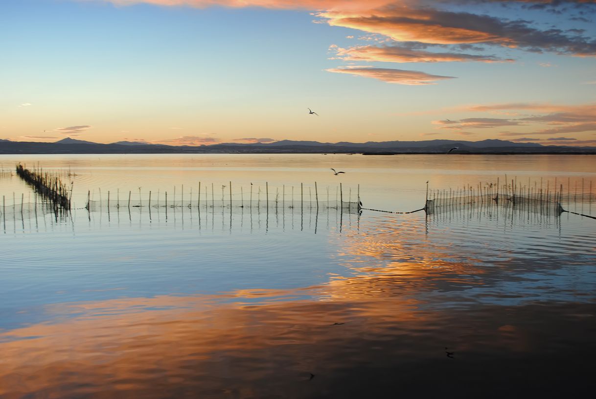 Lugar Albufera de Valencia