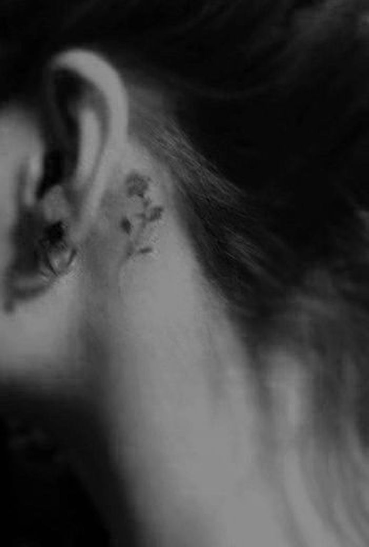Social Tatuagens 