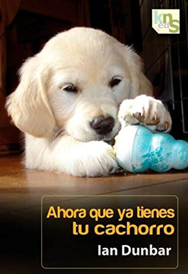 Libros Ahora que ya tienes tu cachorro