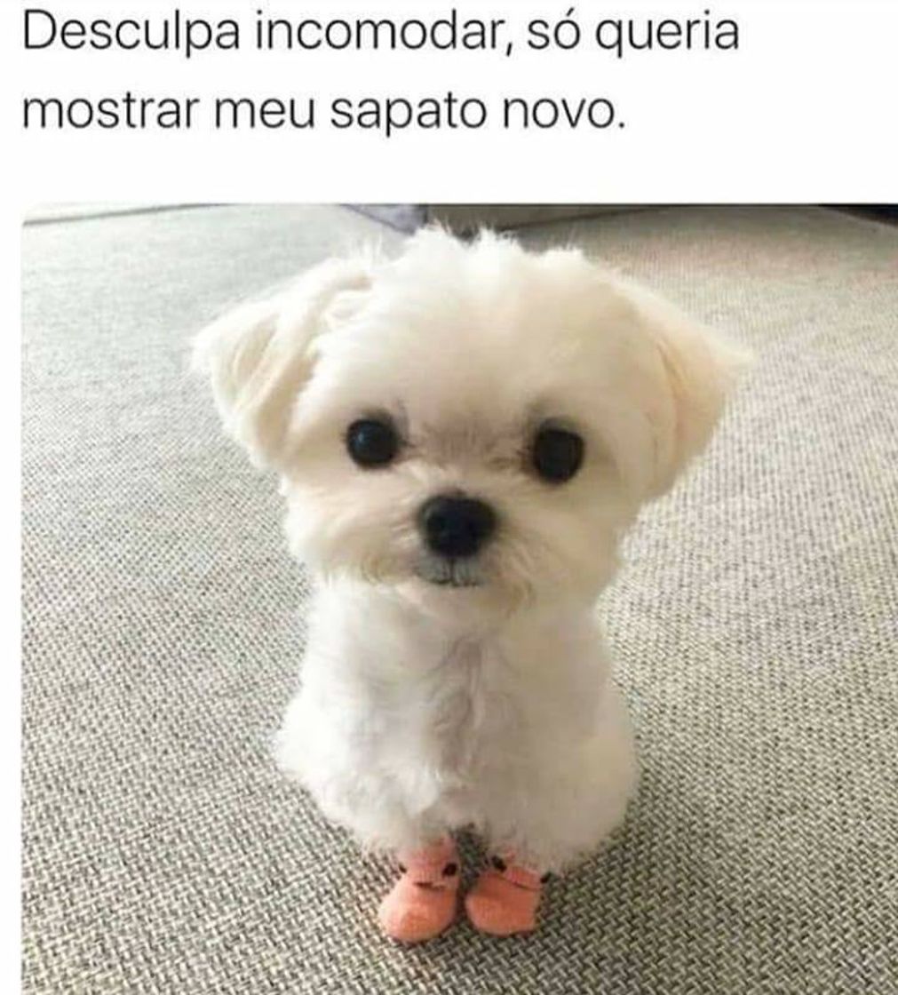 Fashion Nunca incomoda 🥰😍