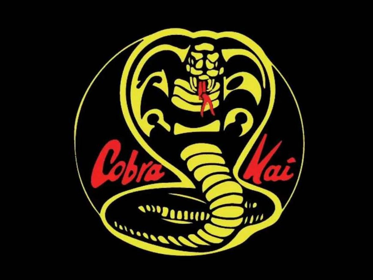 Serie Cobra Kai