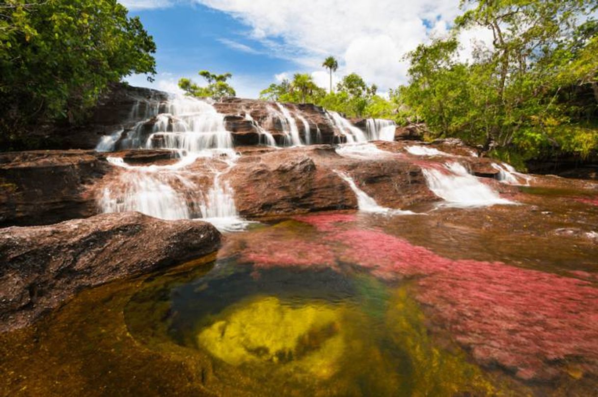 Lugar Caño Cristales