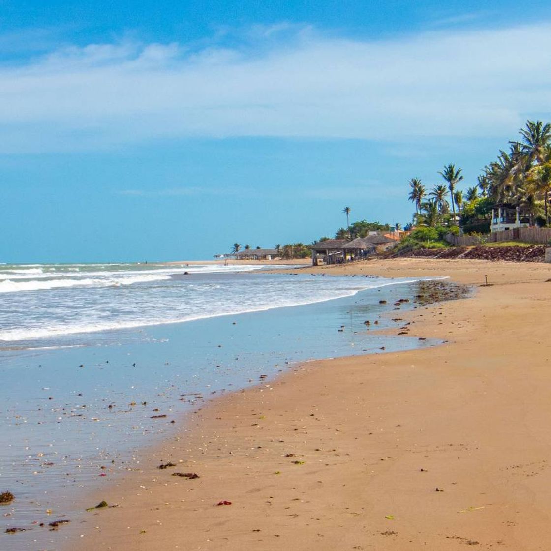 Moda Curta o som do mar!