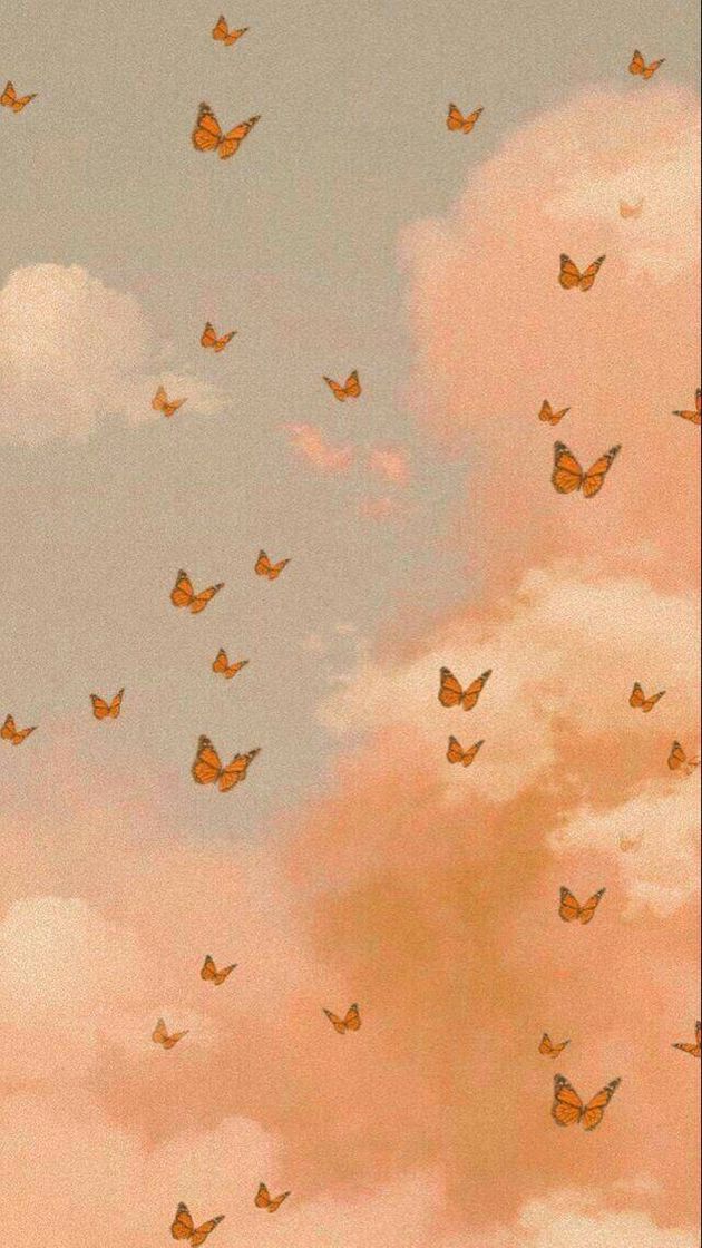 Aesthetic.vibe 🍓 💫 