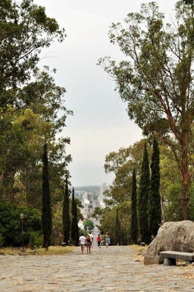 Lugar Tandil