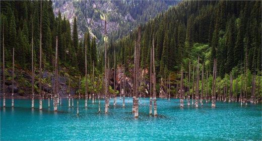 Floresta submersa-Cazaquistão