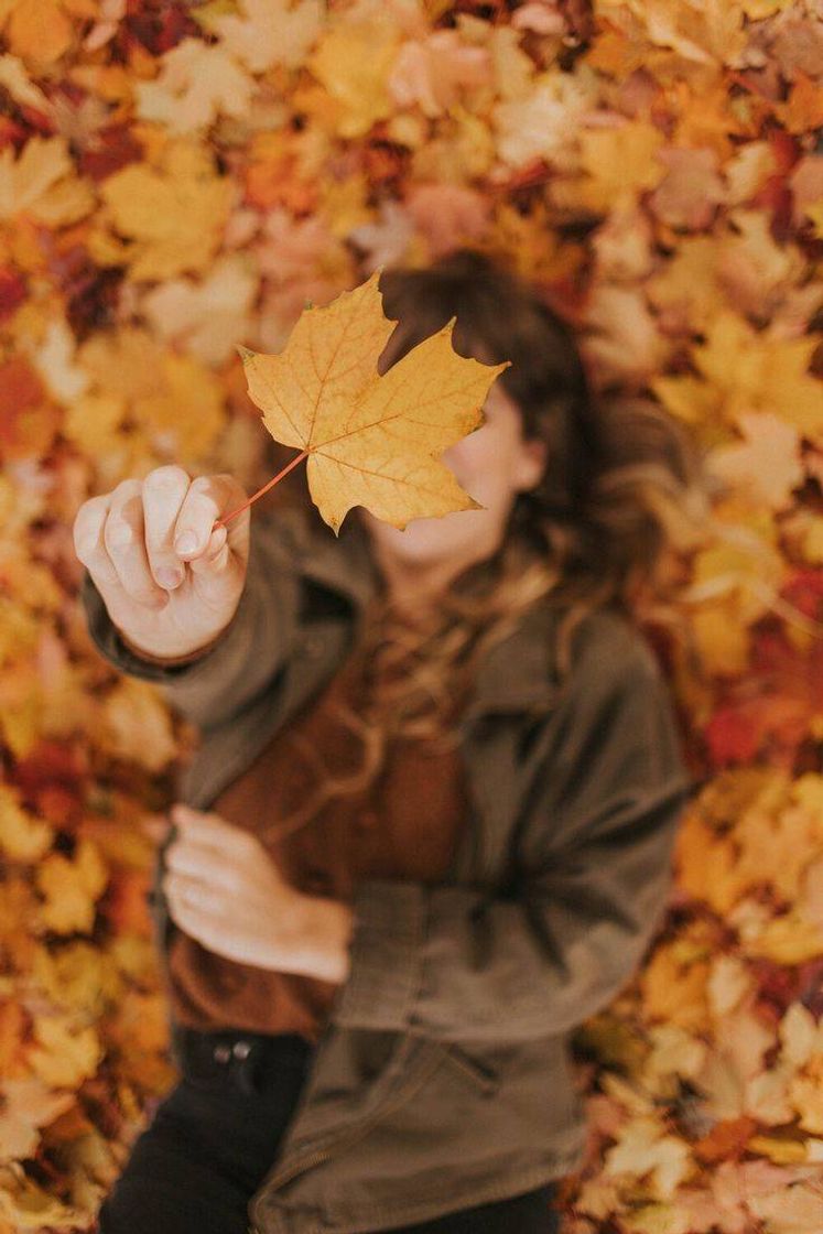 Fashion Wallpaper Outono🍁