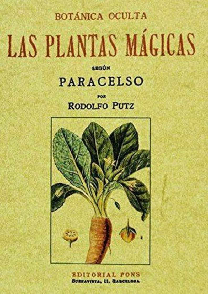 Books Las Plantas Mágicas/ Botánica Oculta