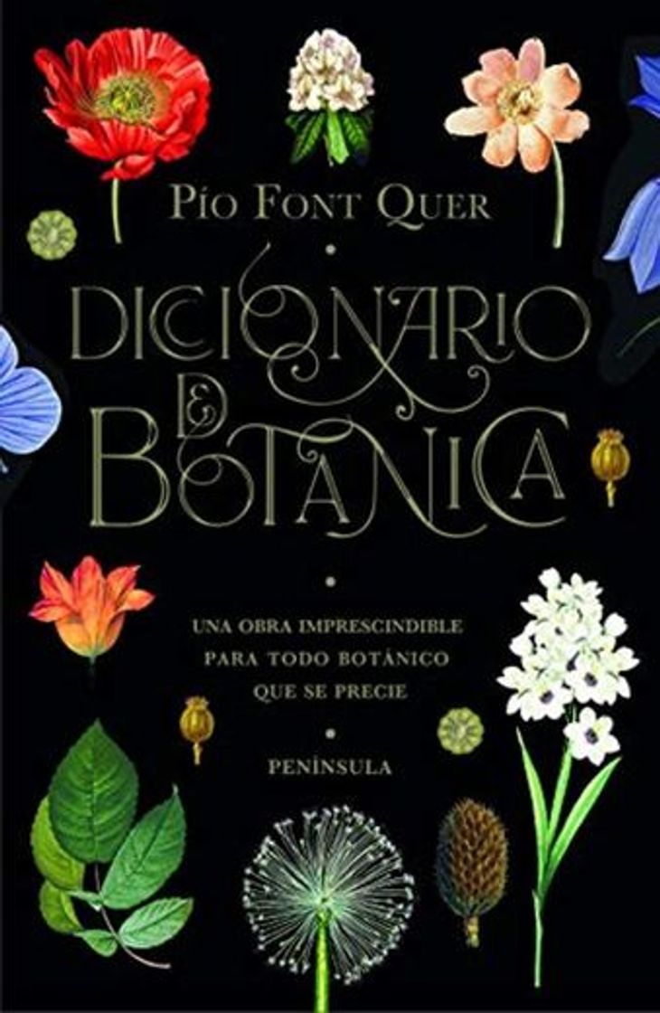 Libro Diccionario de botánica