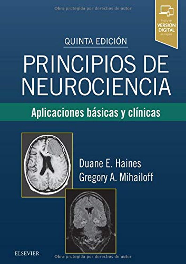 Libro Principios de neurociencia - 5ª edición: Aplicaciones básicas y clínicas