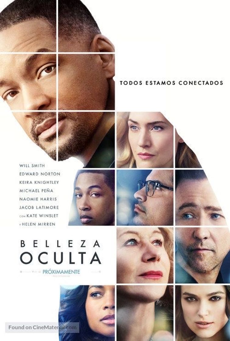 Películas Filme: Beleza oculta