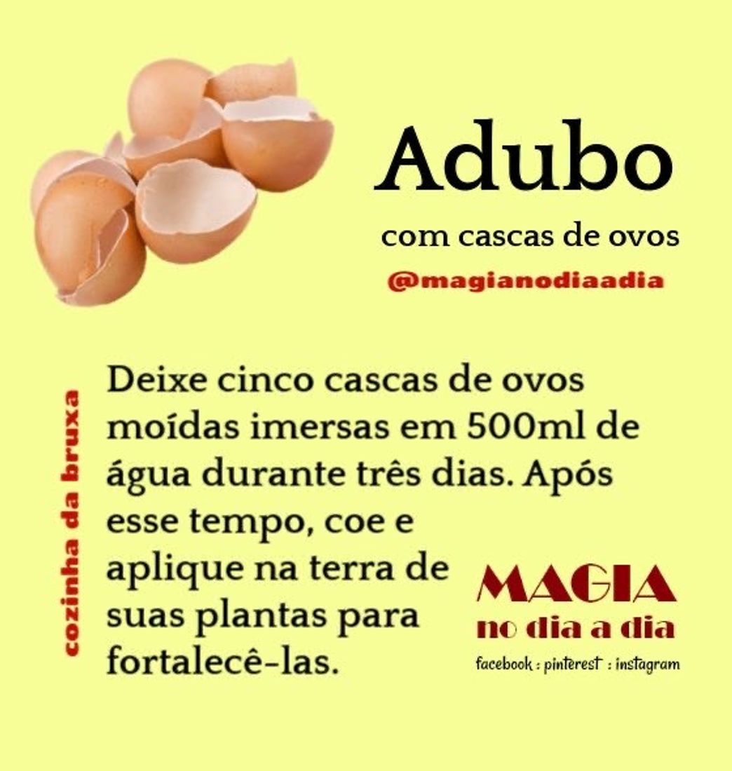 Moda Adubo