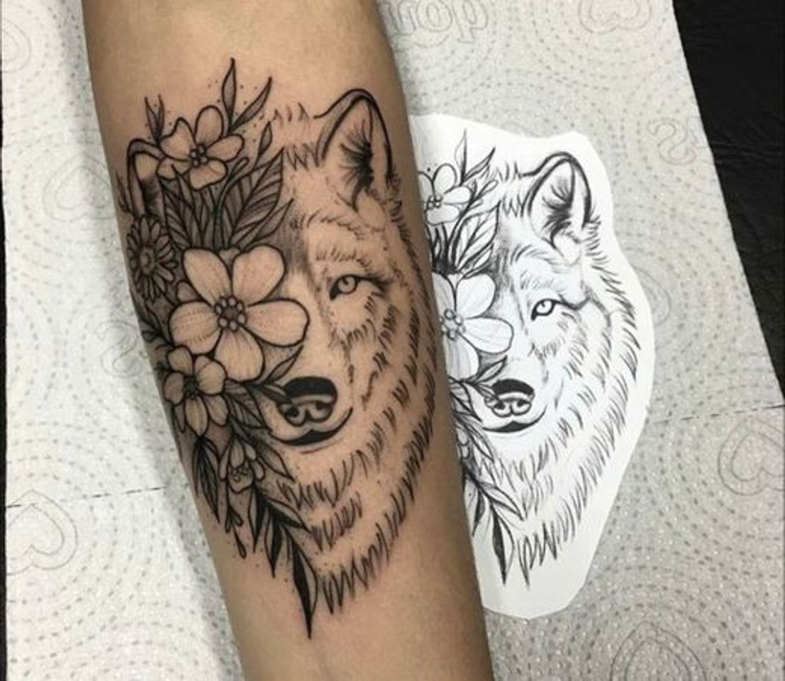 Social Lobo