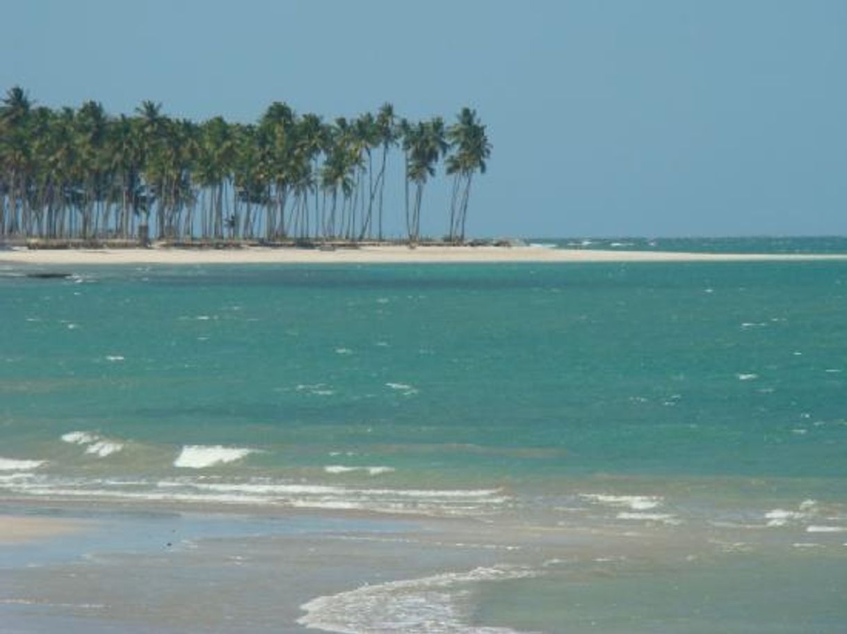 Lugar Tamandaré