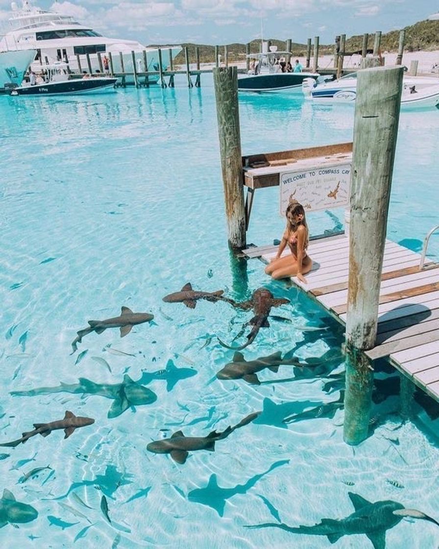 Lugar Bahamas