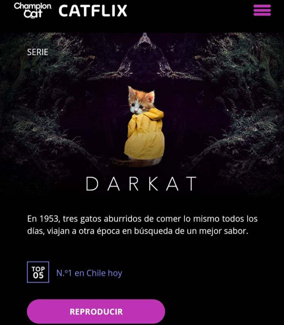 Fashion Uma Netflix onde as séries são com felinos !😯😼