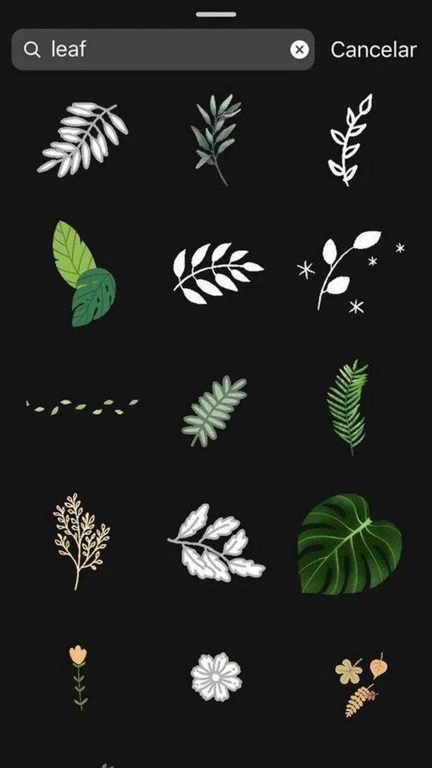 Fashion Gifs de folhinhas🌿