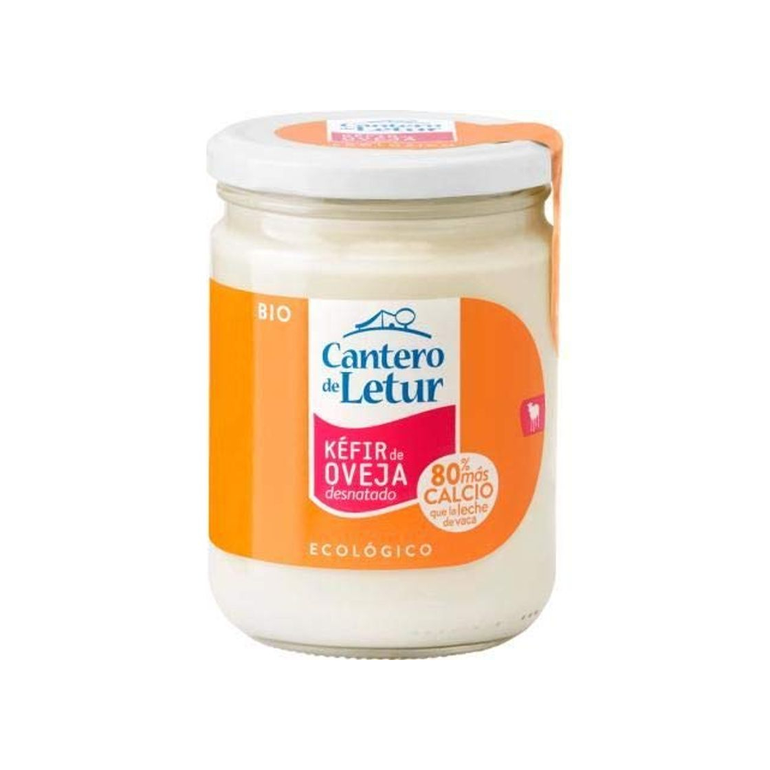 Product KEFIR OVEJA DESNATADO 420 g