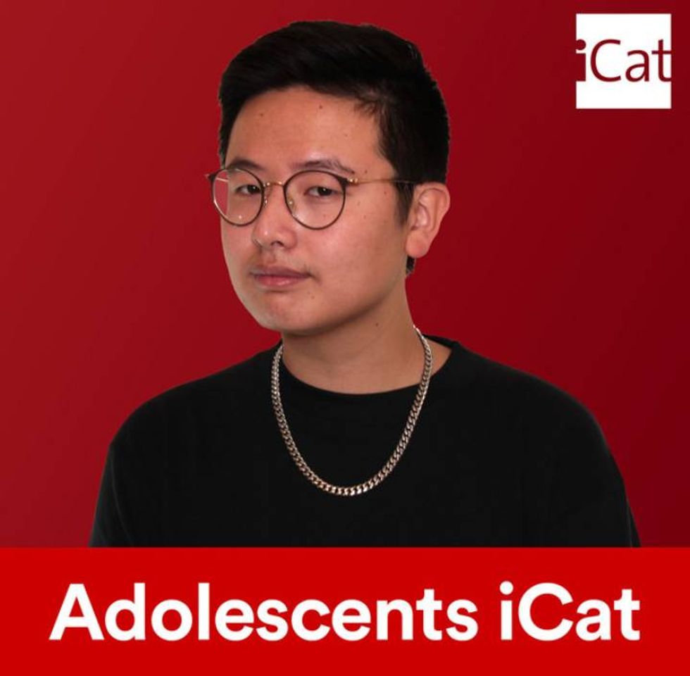 Social Adolescents iCat