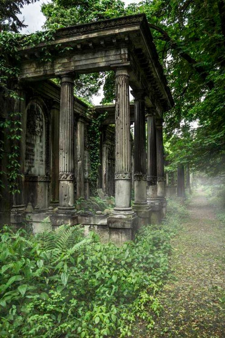 Social Light Academia🦉