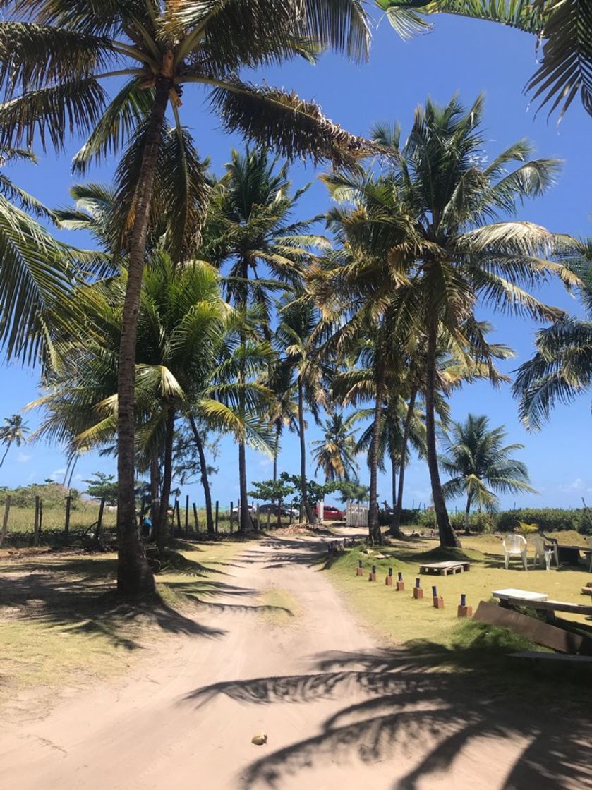 Place Maceió