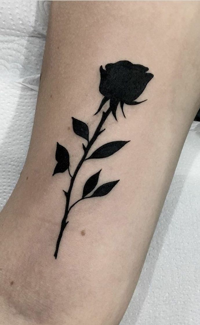 Social Tatuagem de uma rosa 