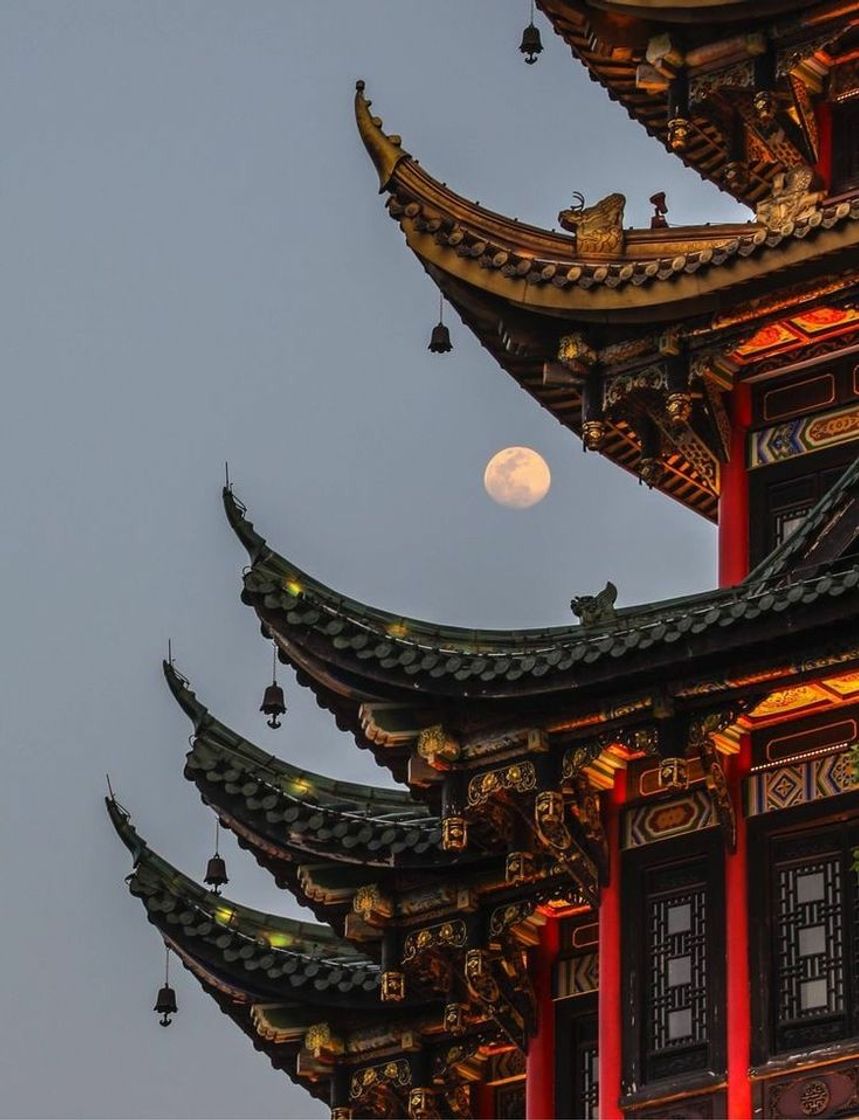 Social China