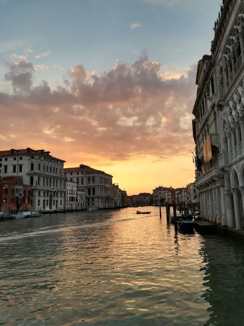 Place Venecia