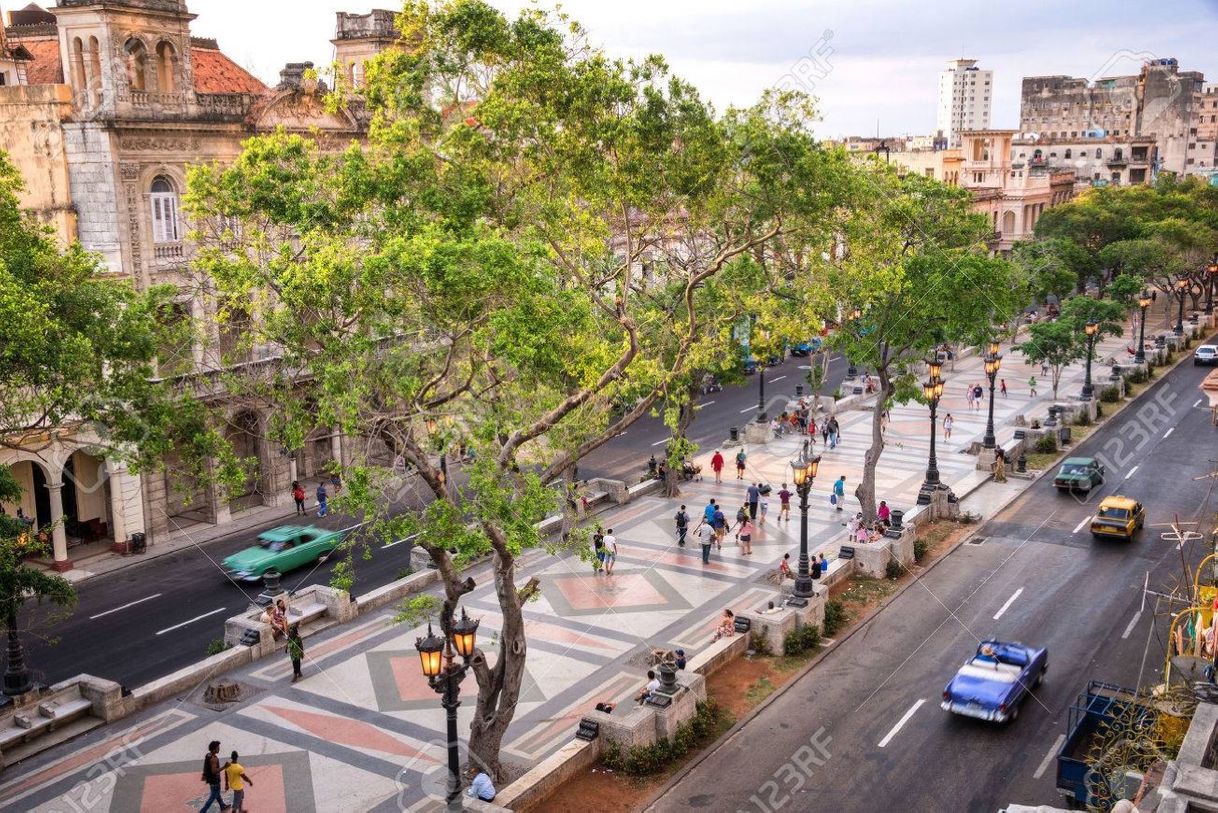 Lugar Paseo del Prado