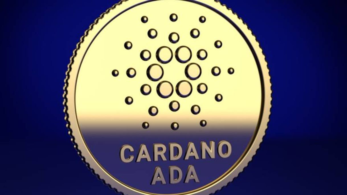 Fashion Cardano - criptomoneda