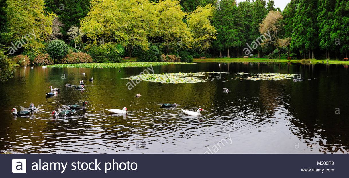 Lugar Lagoa das Patas